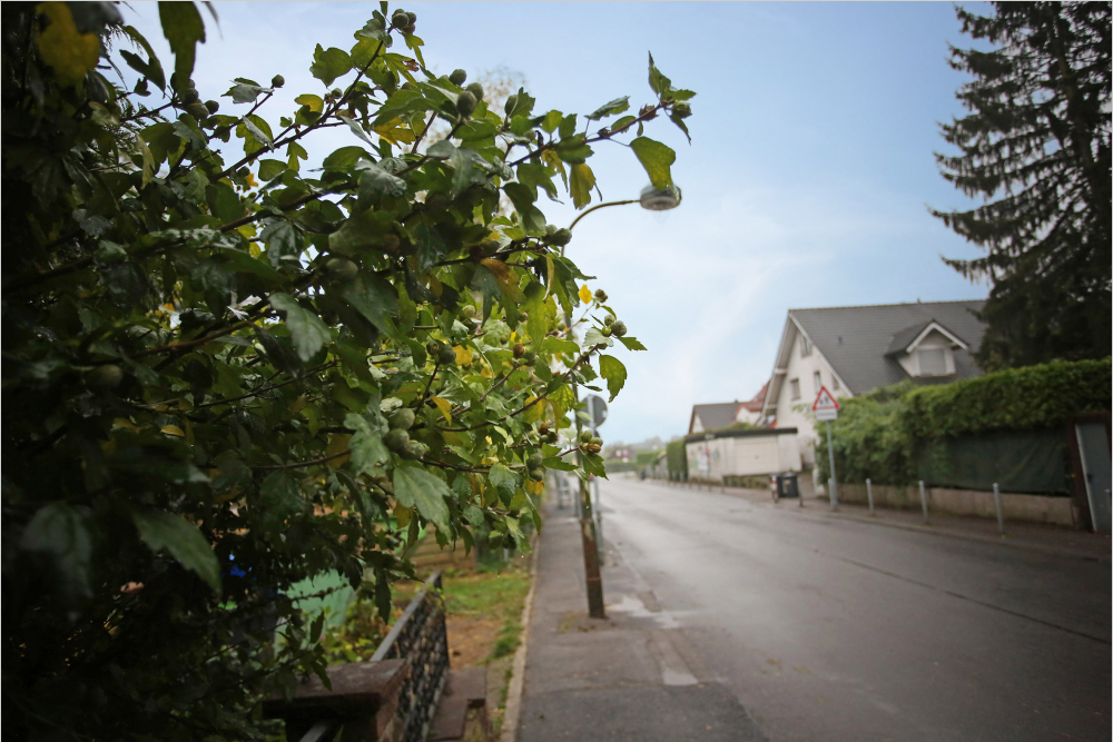 Strasse