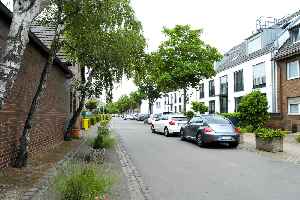 Street
